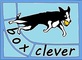 Box Clever Flyball
